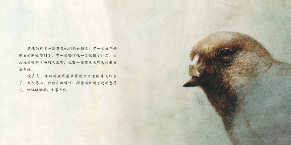 断喙鸟 (07),绘本,绘本故事,绘本阅读,故事书,童书,图画书,课外阅读